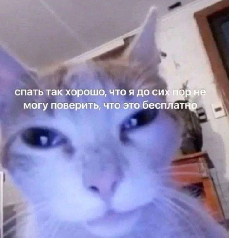 Знаете, что ещё удивительно бесплатное?
