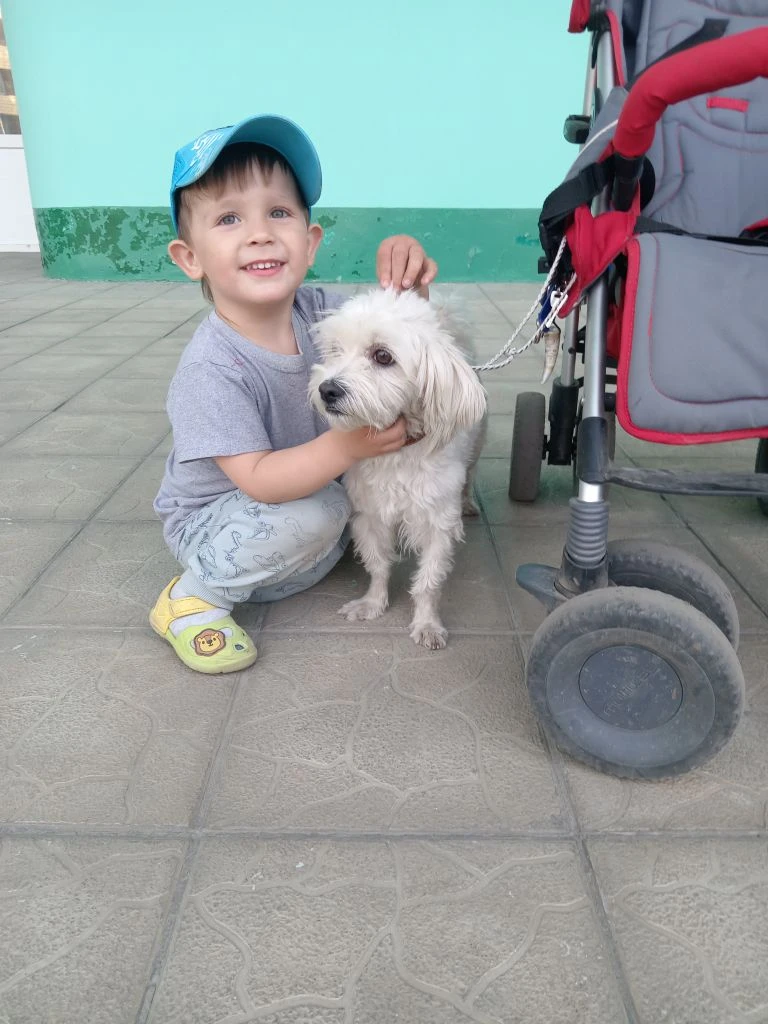 Потерялась собака на АБ. Тел. 89293272385