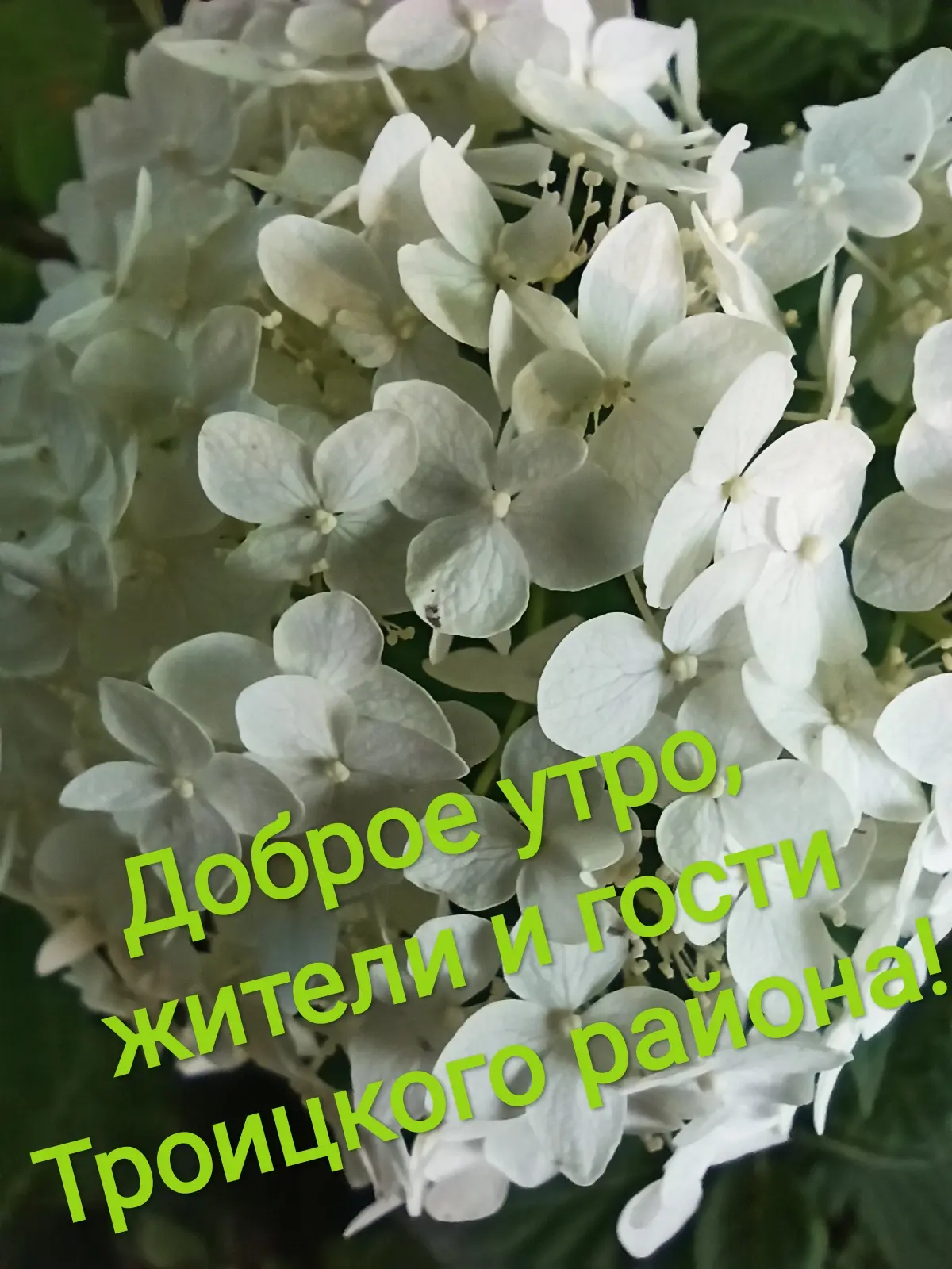 Всем хороших выходных!