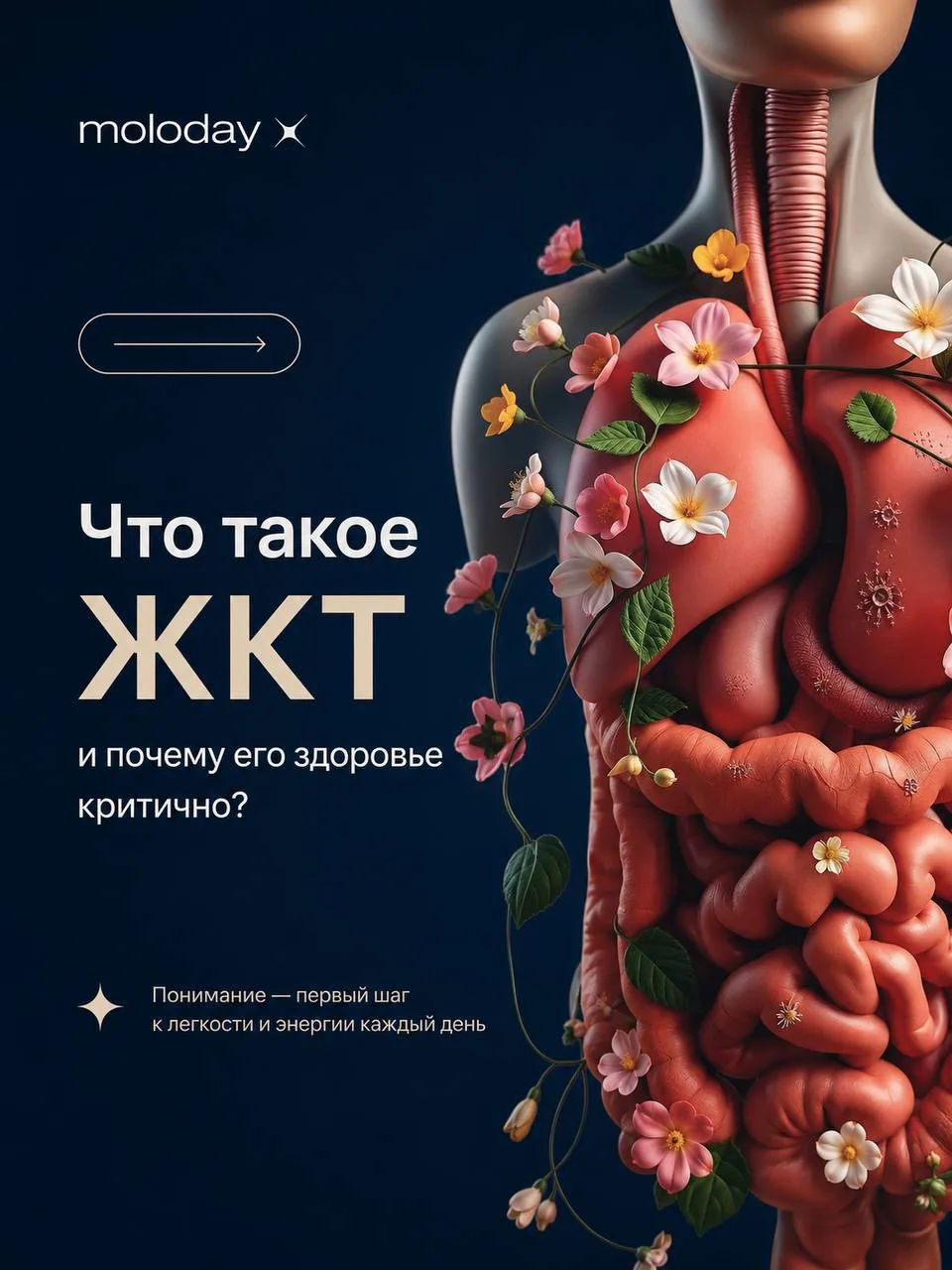 Мы заботимся о коже, гормонах и сердце. Но знаете, что стоит во главе здоровья?