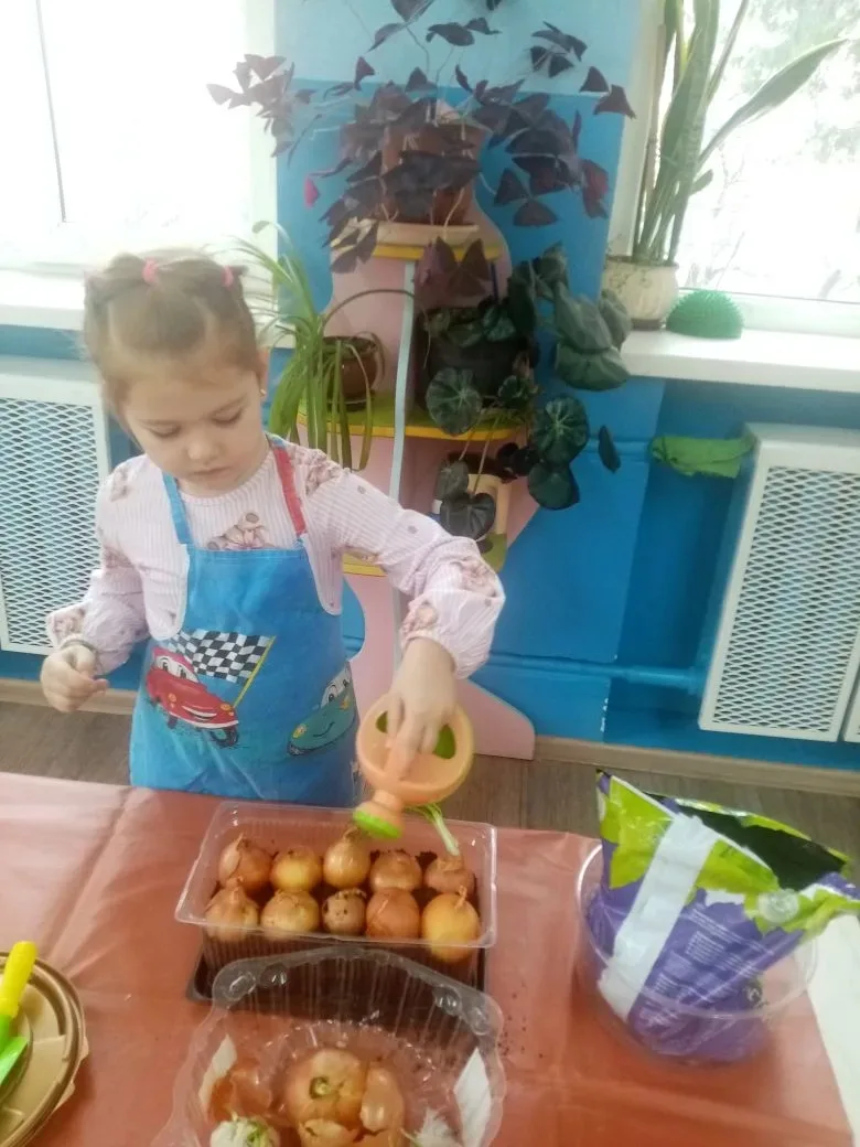 На окошке огород,
Лук мы посадили в ряд.
Ждем, когда же хвостик в рост
Выстрелит, как быстрый гость.