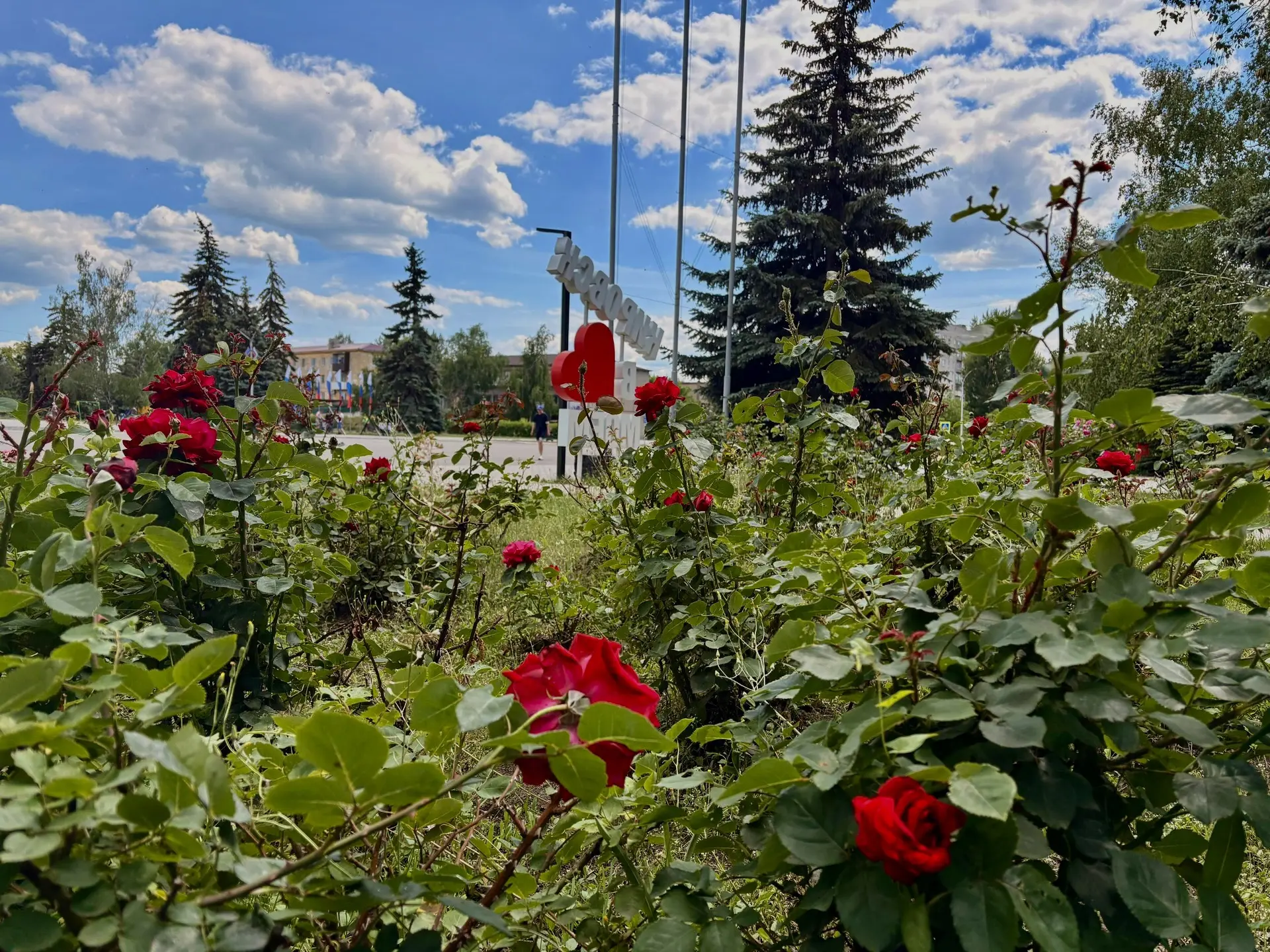 🌹Доброе утро, кировчане!