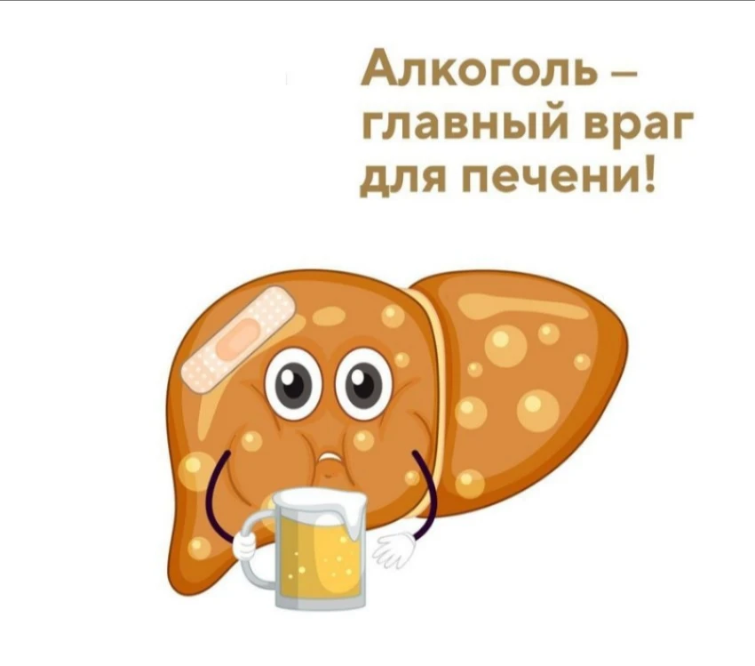 🍷Алкоголь враг для печени.