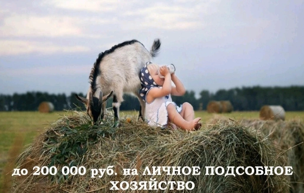 💫СОЦИАЛЬНЫЙ КОНТРАКТ 💫
