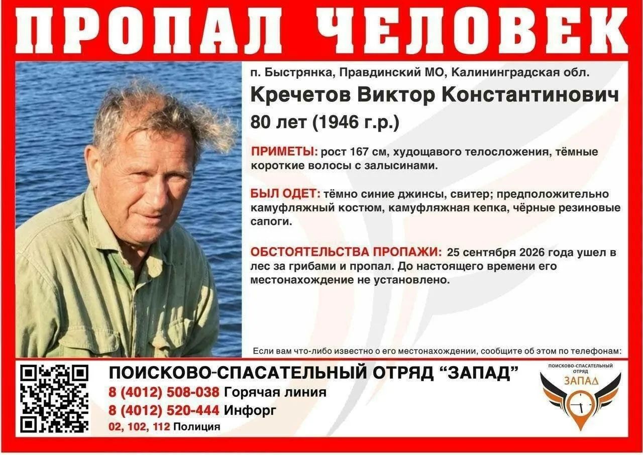 В лесу под Правдинском ищут 80‑летнего Виктора Кречетова — он ушёл за грибами 25 сентяб...