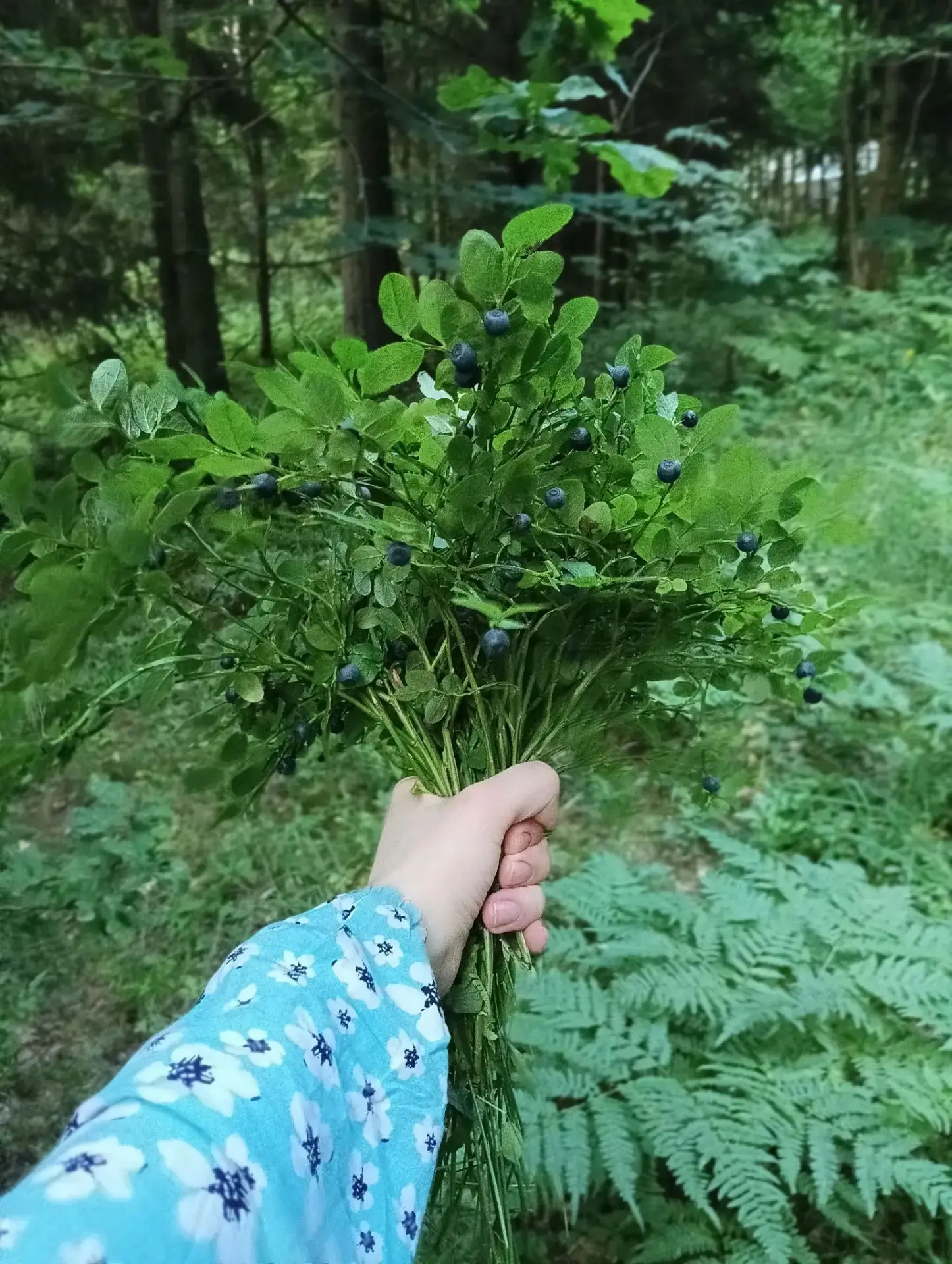 🕊️Как я училась слушать тишину: мой монастыринг в Вартемягах