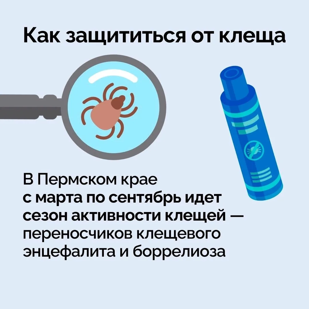 ❗️🕷Количество пострадавших от укусов клещей в Кунгурском округе увеличивается!