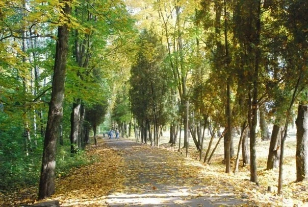 Уже ретро фоточка...