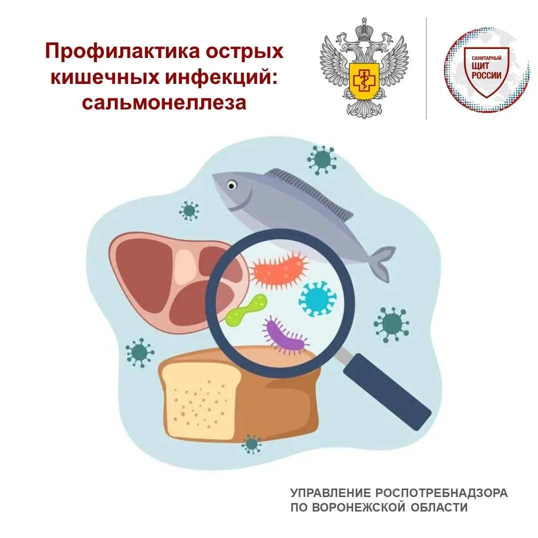 Чтобы предохранить себя и детей от заболевания сальмонеллезом необходимо соблюдать след...