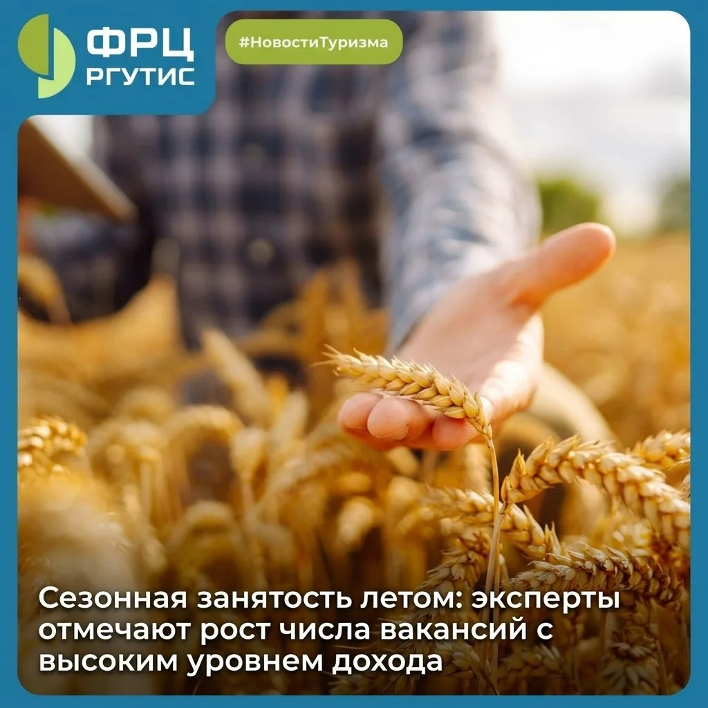 В летний период🏖️ на рынке труда традиционно увеличивается количество сезонных ваканси...