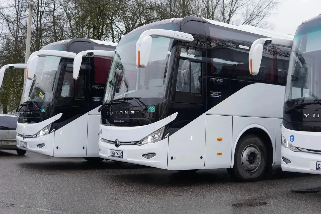 Добраться на День Ленинградской области в Ивангороде будет проще!

🚌 1 августа увеличится количеств