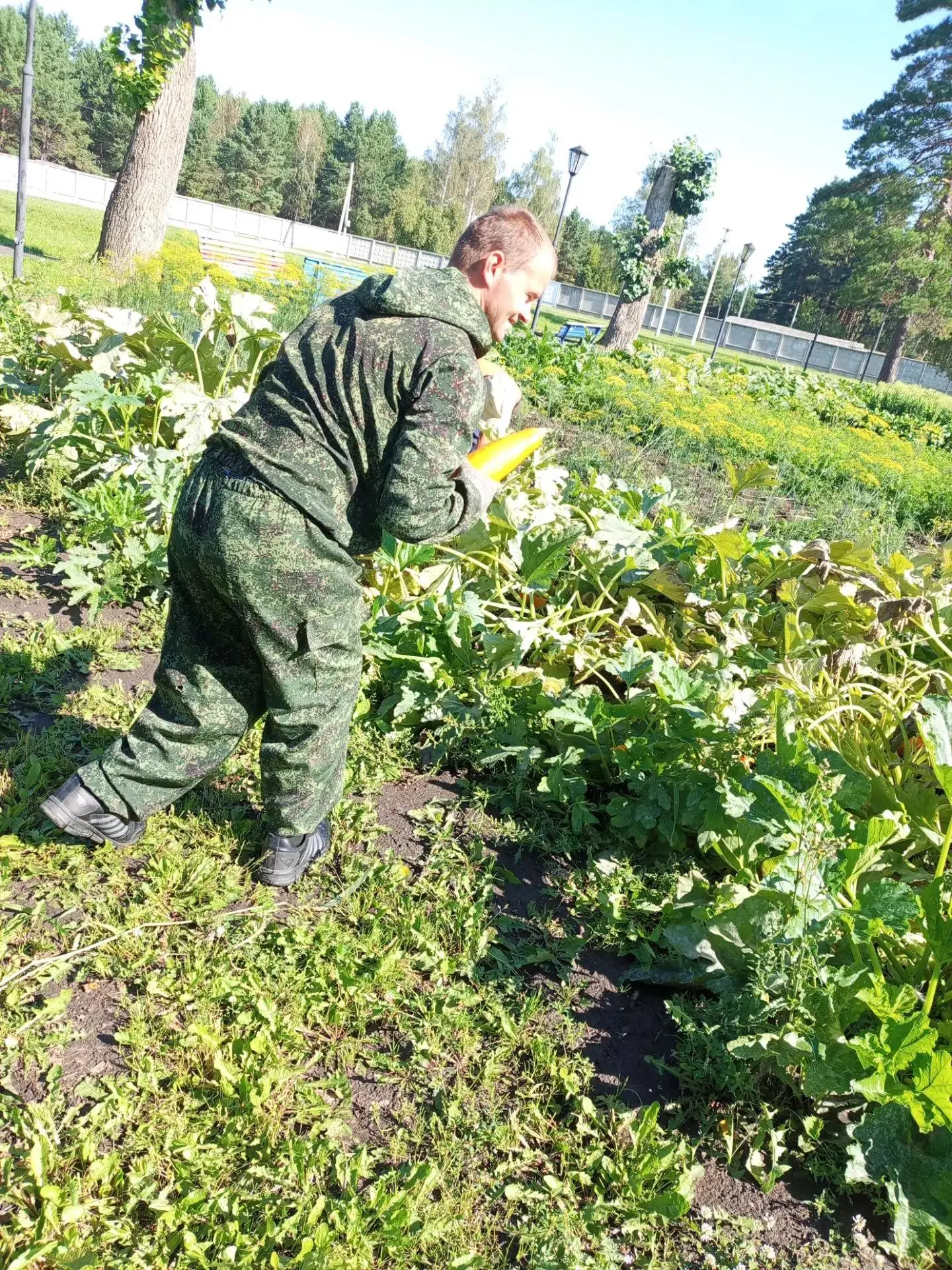Август — щедрая пора! На огороде нашего дома социального обслуживания продолжается горя...