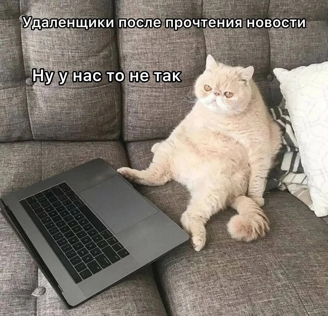 Офисная работа делает людей инвалидами.

Офисные сотрудники проводят до 80% рабочего времени сидя, ч