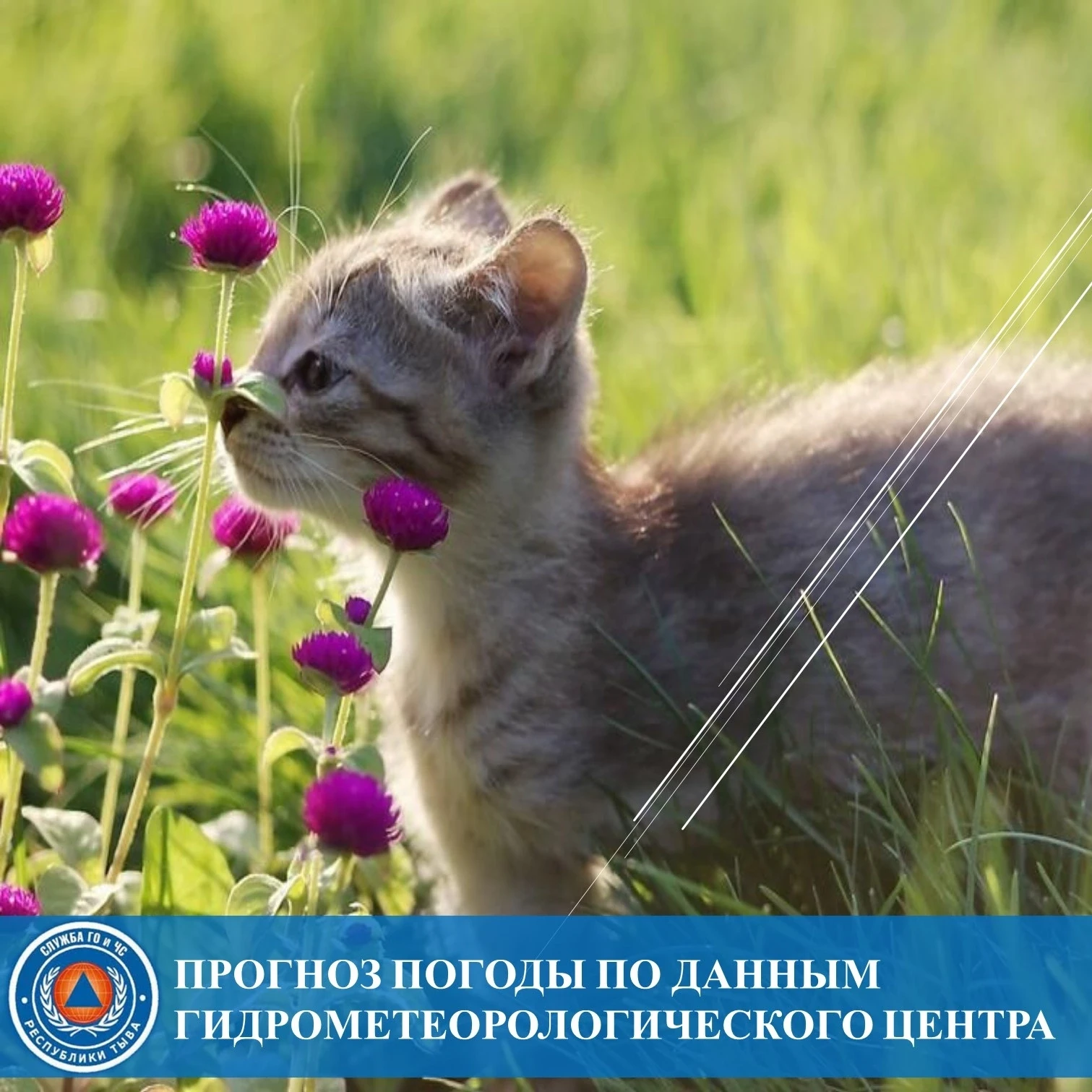 Прогноз погоды на 23 июня по данным ТУВИНСКОГО ГИДРОМЕТЕОРОЛОГИЧЕСКОГО ЦЕНТРА

По республике: переме