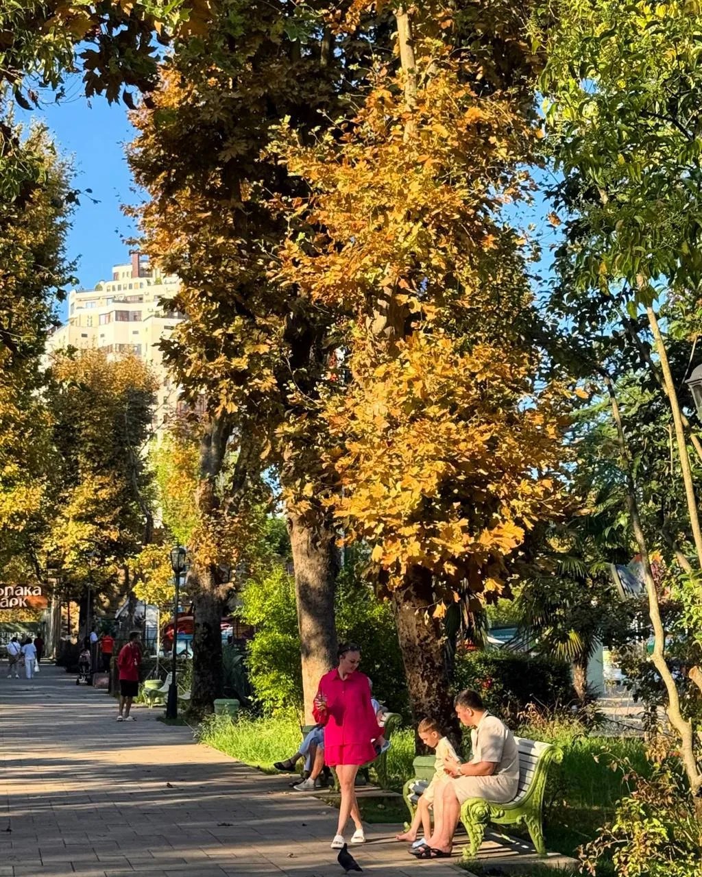 🍂 Золотая осень пришла в парк «Ривьера» в Сочи.