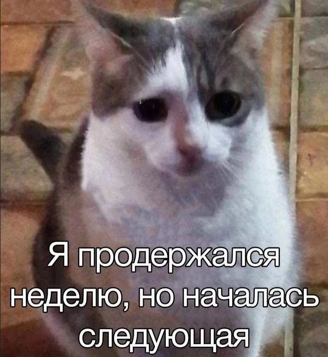 Прекрасного понедельника!😃  В Бурятии потеплеет до +21  В понедельник, 18 мая, в Бурятии слегка поте