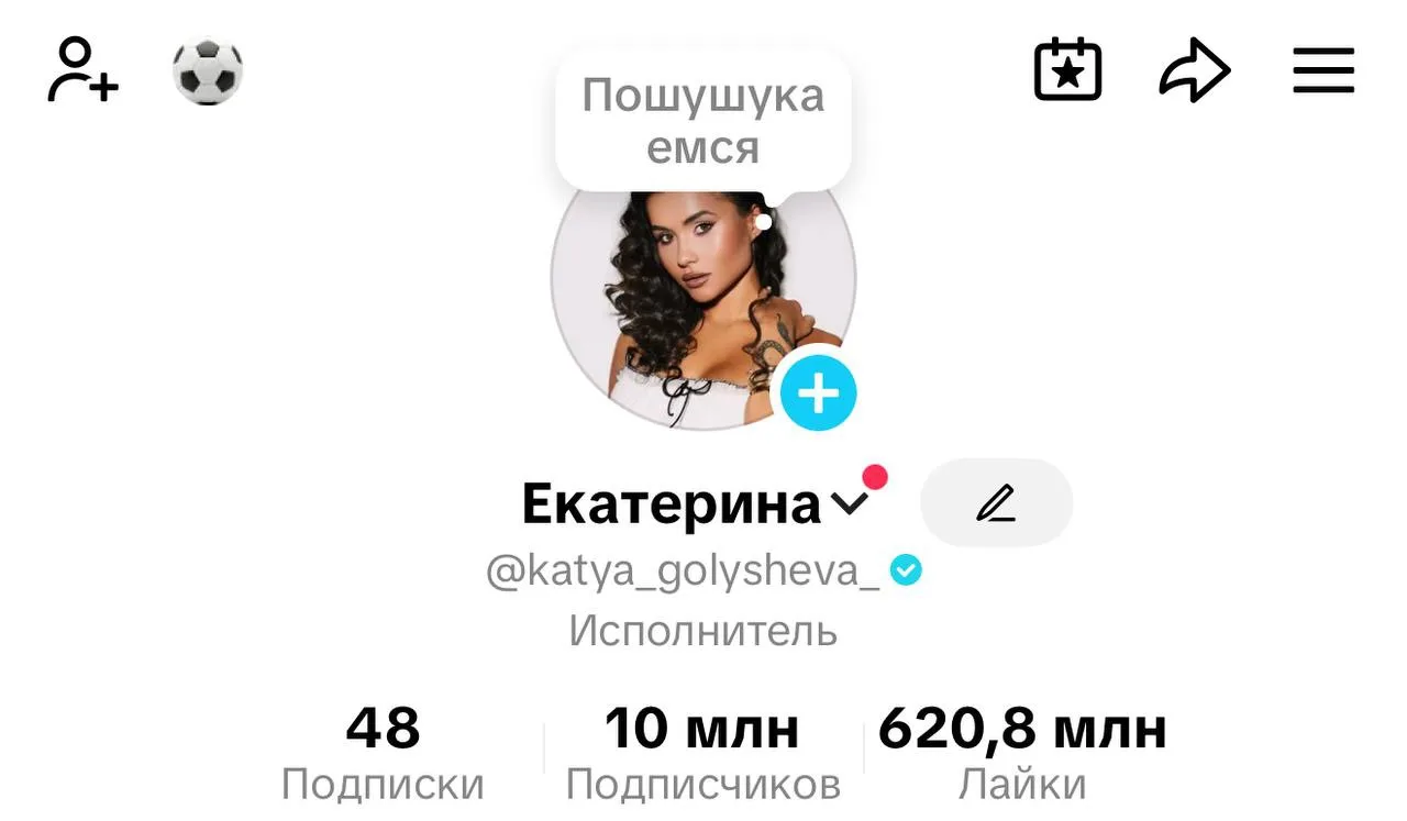 Счастью нет предела!!!
16 января 23 года у меня забрали галочку,потому что я сменила ник с «katya_go