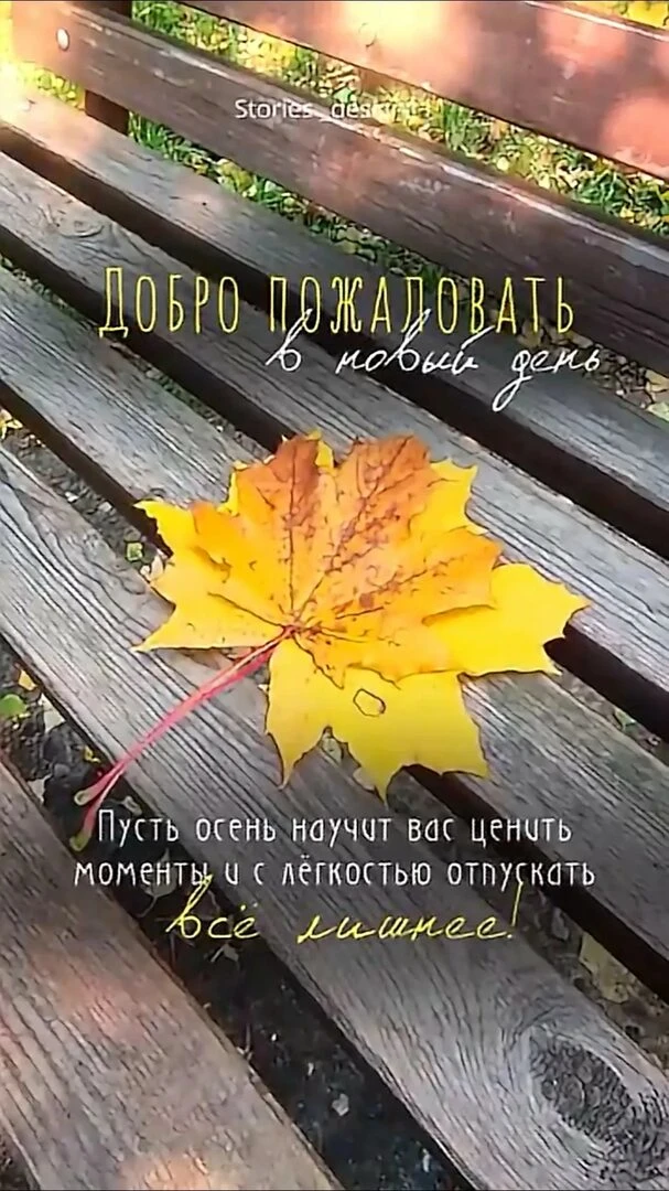 Пусть утренняя осенняя атмосфера 🍁 наполнится положительной и позитивной энергией.☀️😍🤗