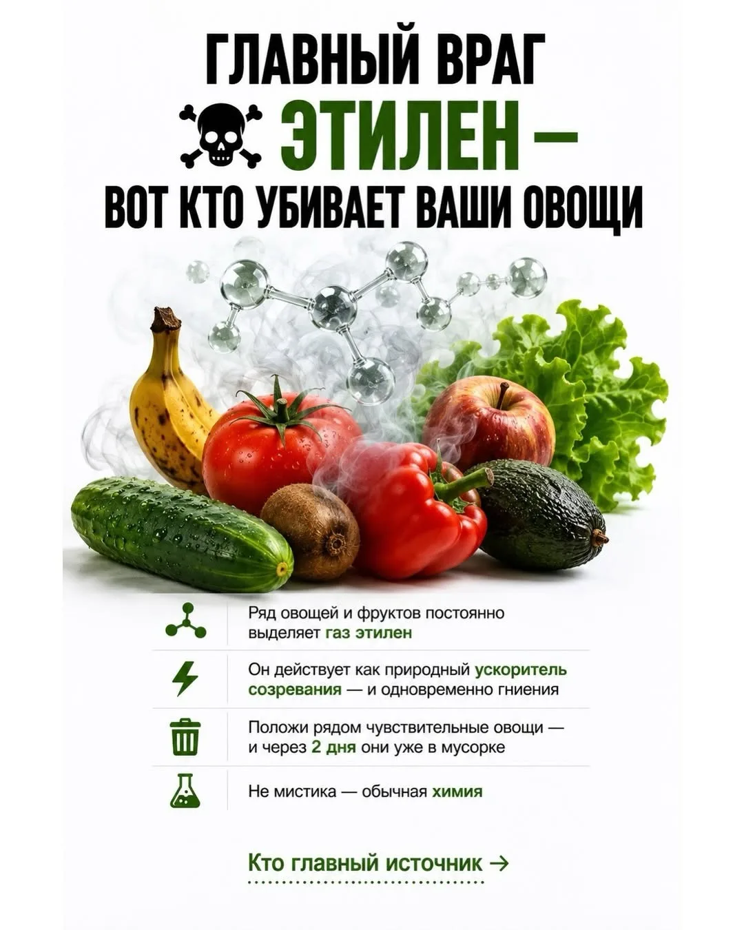 Вы покупаете свежие овощи — а через 2 дня они уже в мусорке. Знакомо? 🤯