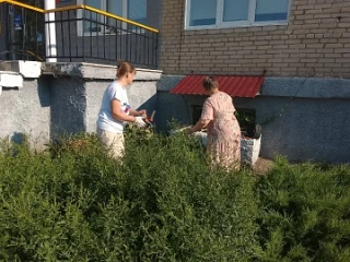 🧩#ЭСТЕТИКА