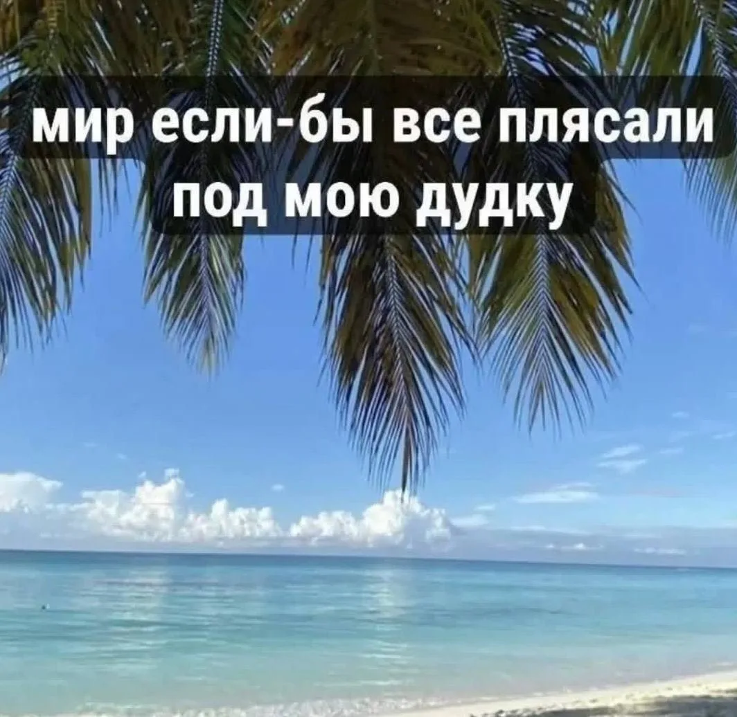 @memachh