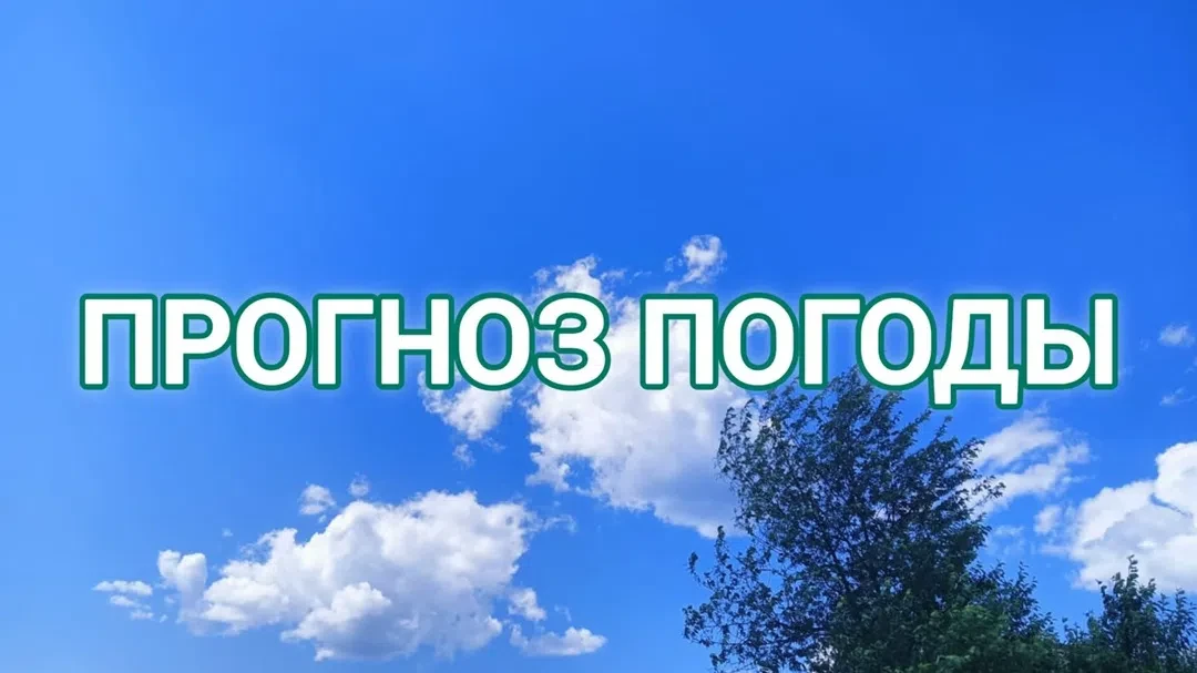 По данным Башгидромета, 29 августа на территории республики ожидается переменная облачн...