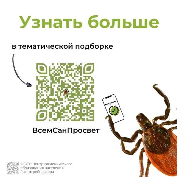 Как не стать жертвой клеща?