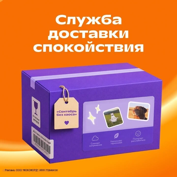 Вам подарок, который поможет встретить сентябрь спокойно 🎁