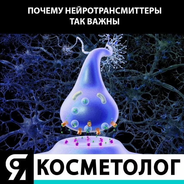 У вас бессонница или тревожность❓ Все дело в нейромедиаторах.
