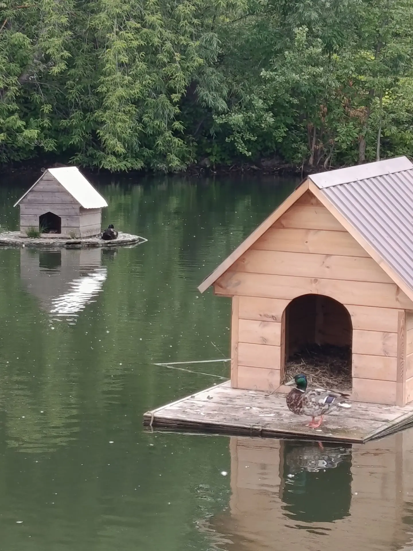 🦆🦆🦆

📸Эйва Мамбетова👍