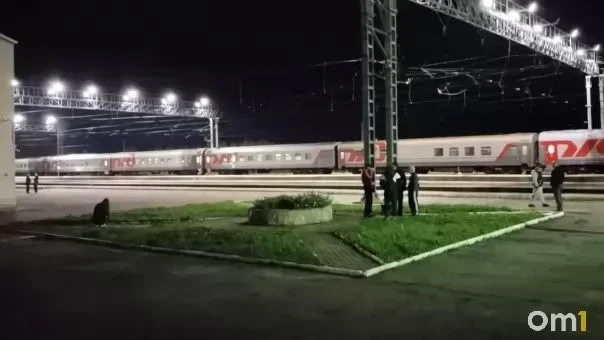 ❗️В РЖД объяснили эвакуацию пассажиров из поезда Тында — Кисловодск в Курганской области