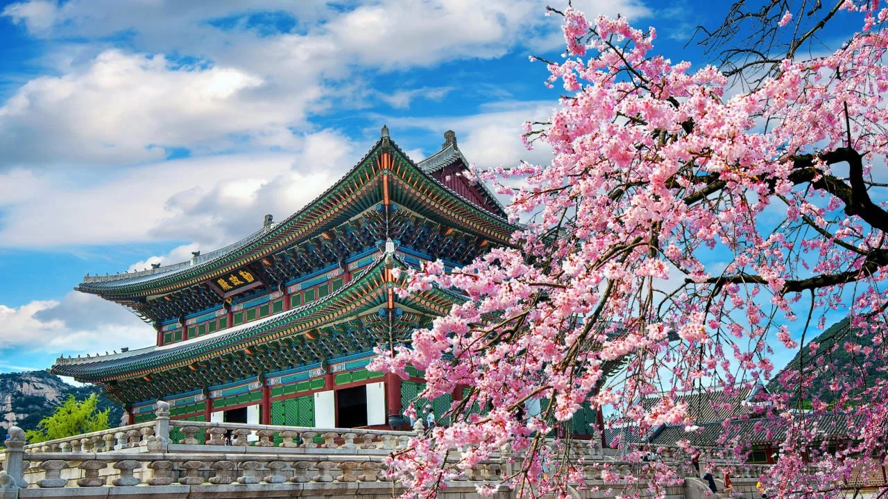 🇰🇷 Групповые туры в Южную Корею 2026: продуманные маршруты, фиксированные даты и инди...