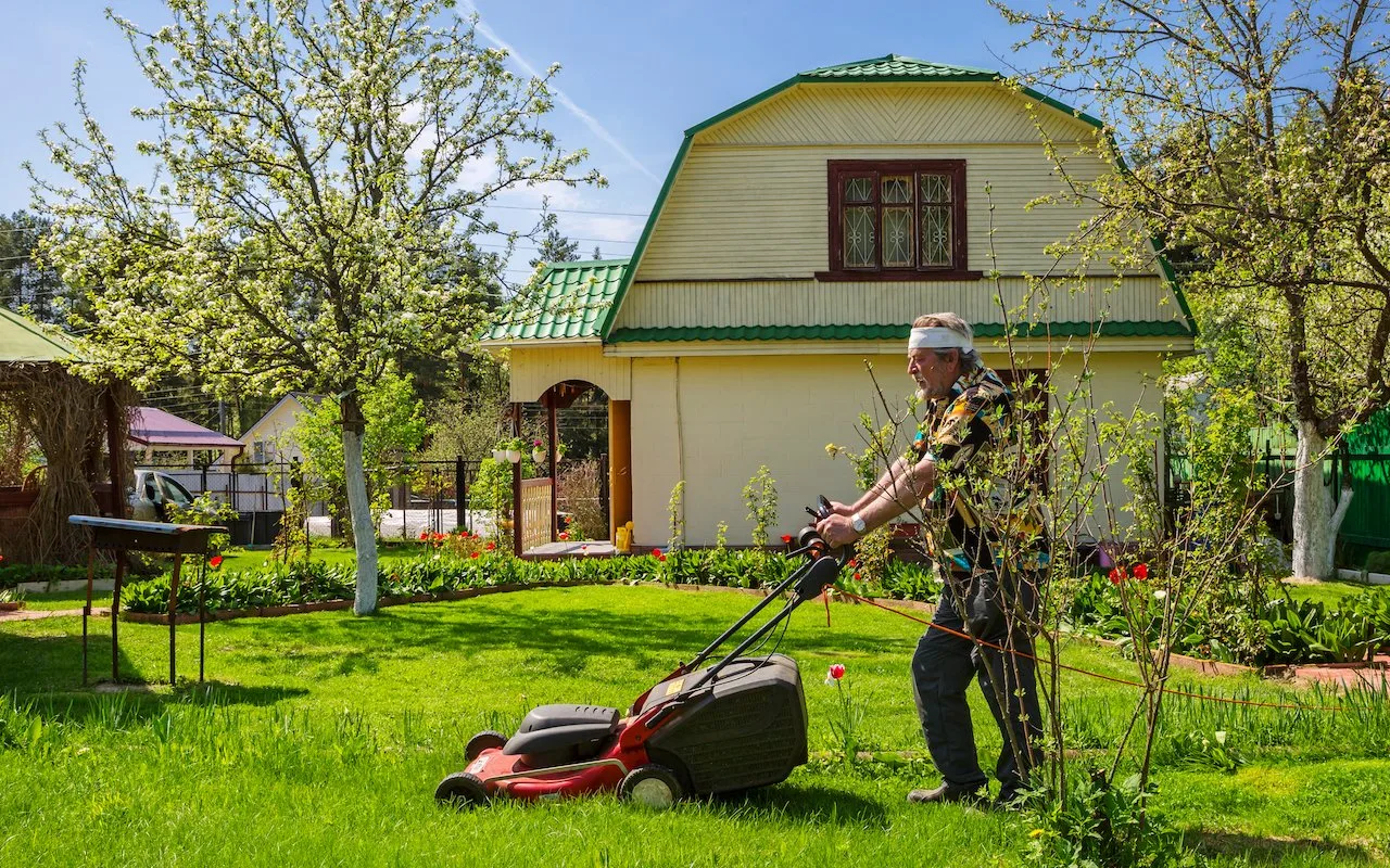Новость, которая заставила многих дачников навострить уши: в Госдуме предложили раздавать участки по