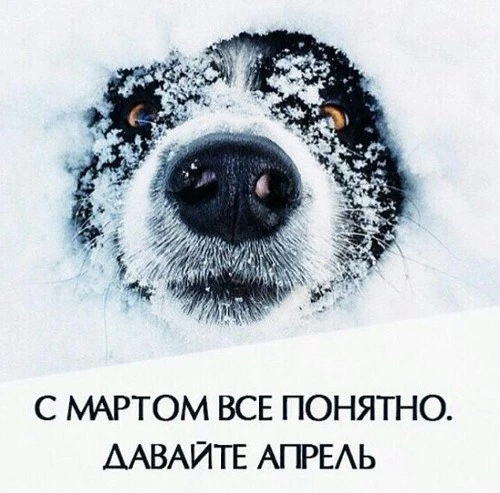 🥶 Сюрприз от Морозко: Весна в Астрахани объявляет перекур!