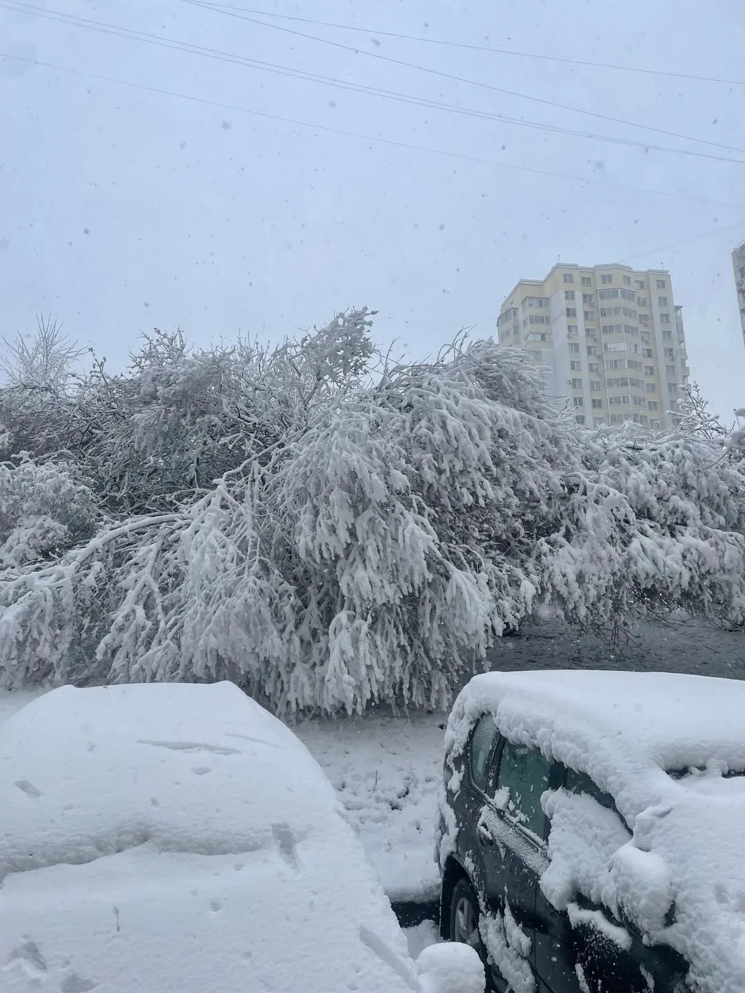 Весна она такая, непредсказуемая ❄️