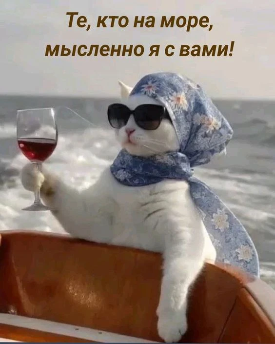 Подпишись, чтобы не потерять👇
Тёплый гусь• Юмор