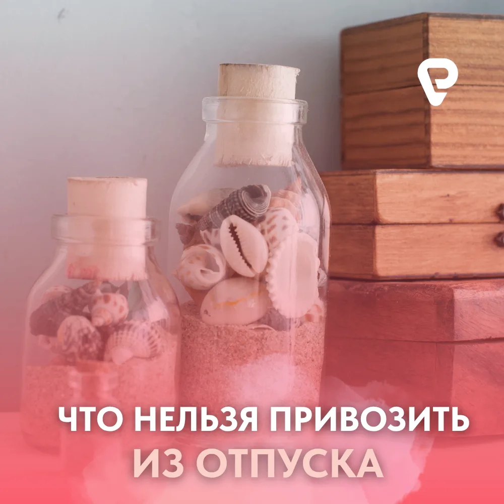 Что нельзя привозить из отпуска? 🚫🧳

Кажется, что сувениры - это безобидные мелочи. Но некоторые и