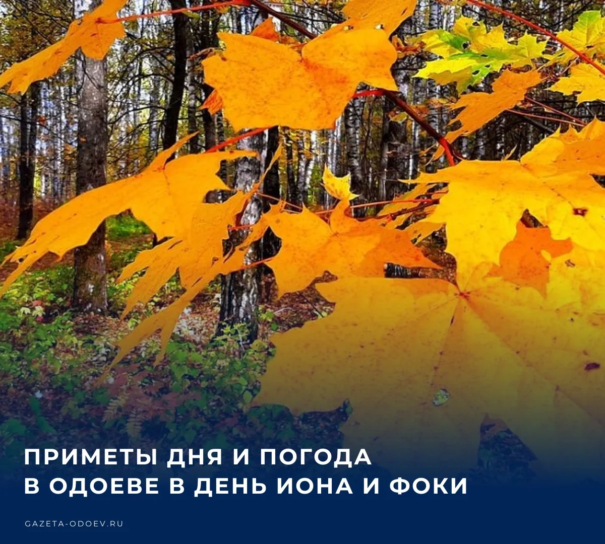 🌧️ Сегодня, 5 октября, в Одоеве ожидается +15...+11 °C, cлабый дождь. Западный ветер с...