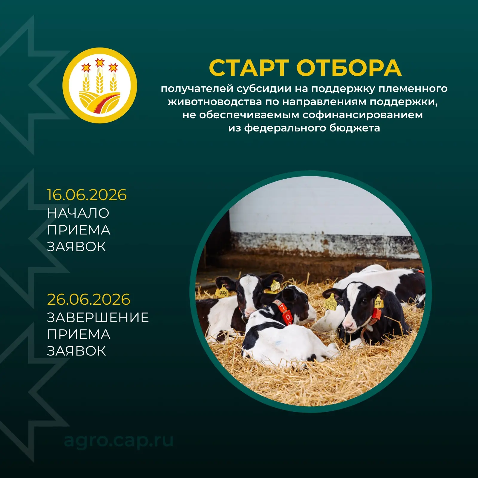 🐄 86 млн рублей господдержки: в Чувашии стартует приём заявок на субсидии для племенного животновод