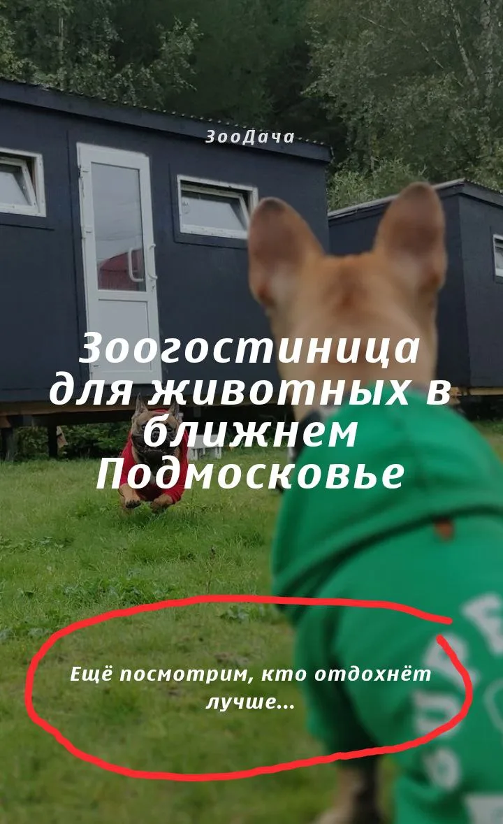 Идеального оффера для зоогостиницы не существ....

Мое почтение 👏

Подпишись на DogMarketing