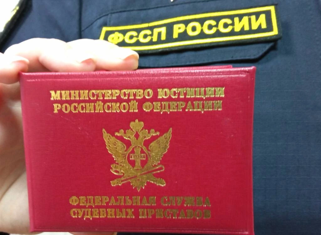 В пользу Приамурского межрегионального управления Росприроднадзора судебные приставы Амурской област