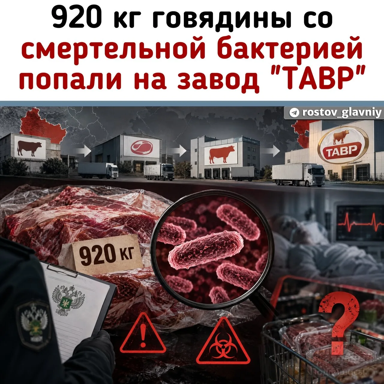 🥩 920 кг говядины со смертельной бактерией попали на ростовский завод ТАВР!