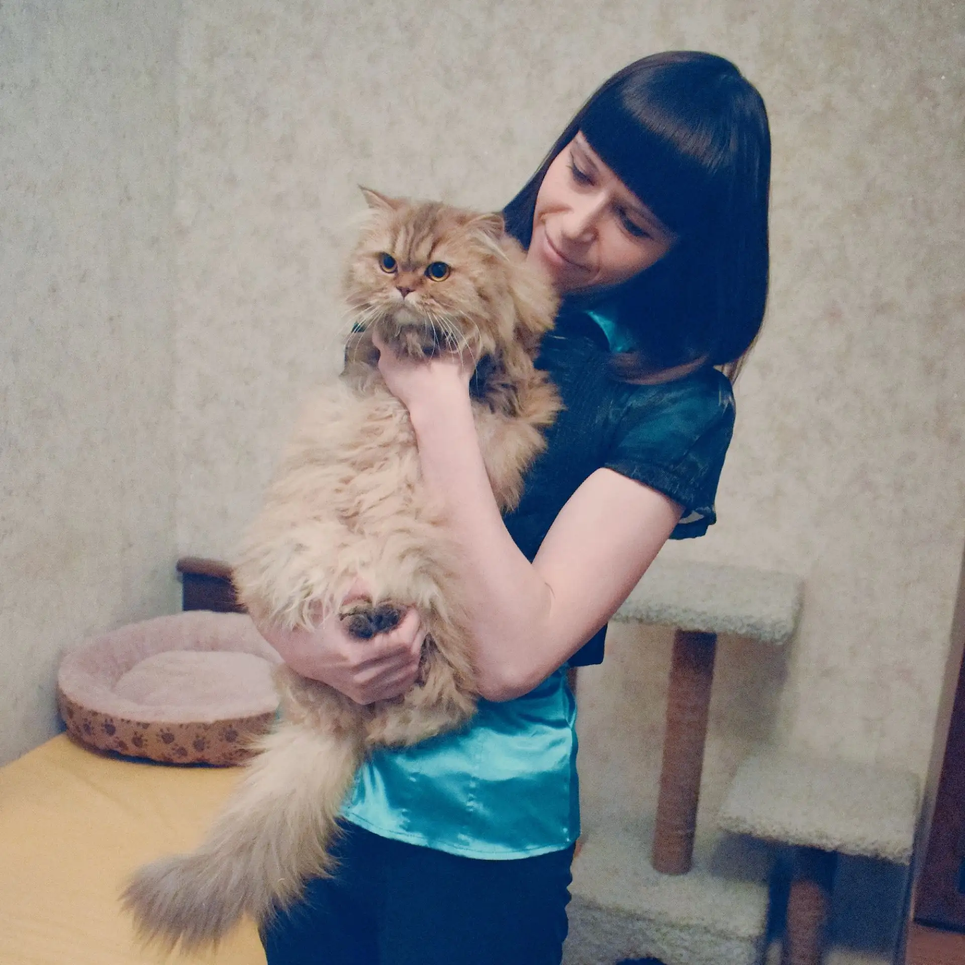 Котики - дело семейное! 😼 На фото мы с Шарлоттой - выпускницей питомника "Myshelove", которая живёт