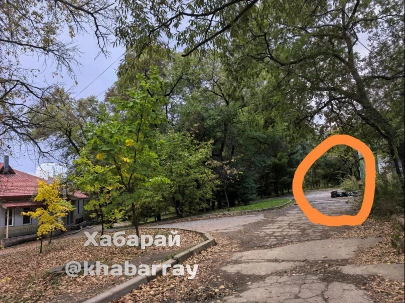 Кучи мусора лежат в центре Хабаровска