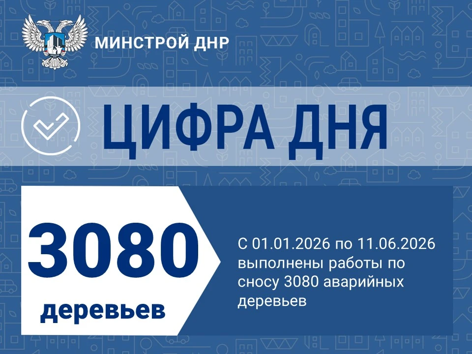 Ликвидация аварийных деревьев продолжается

Единый региональный фонд по управлению МКД на территории