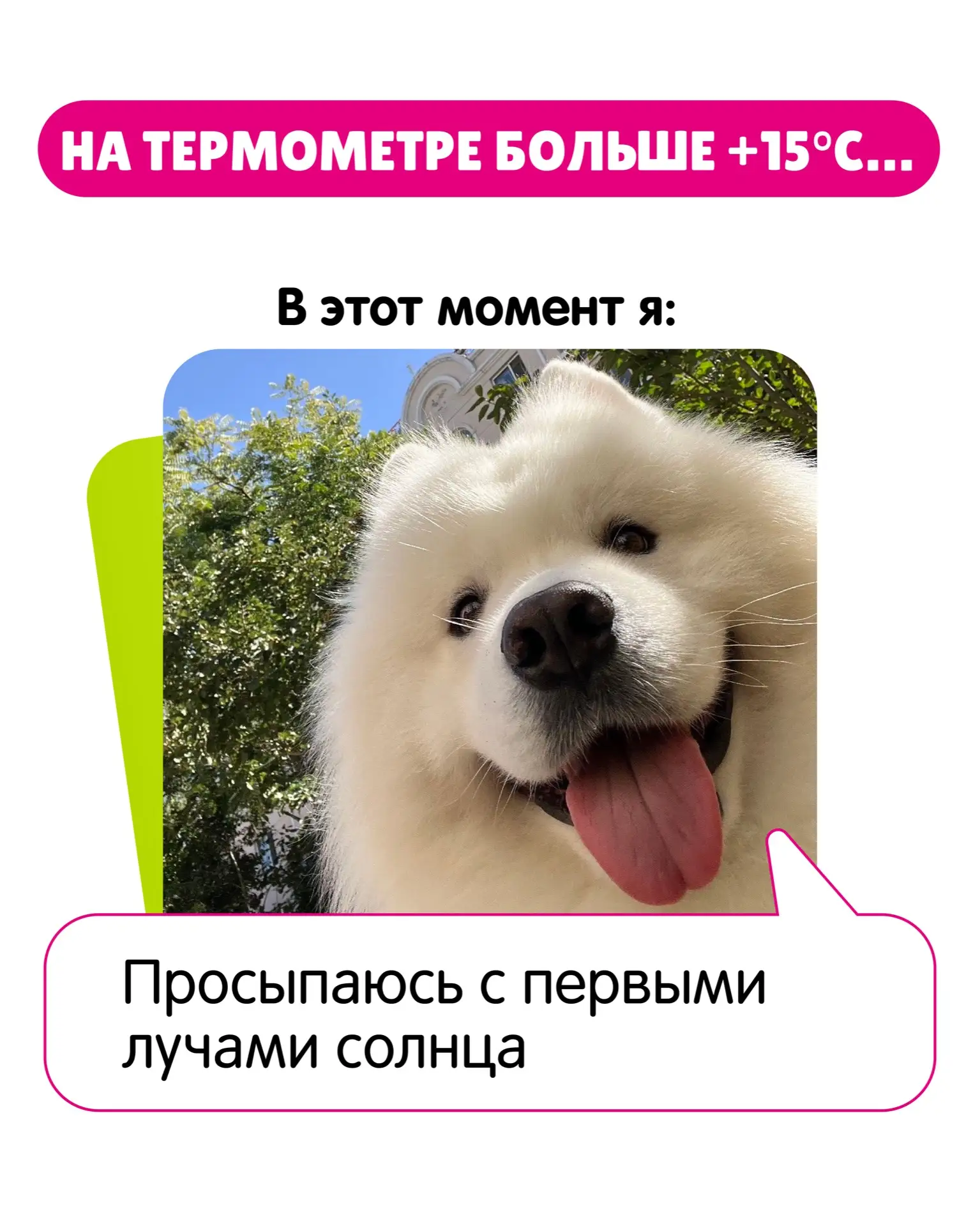 Уххх… погодка шепчет! ☀️