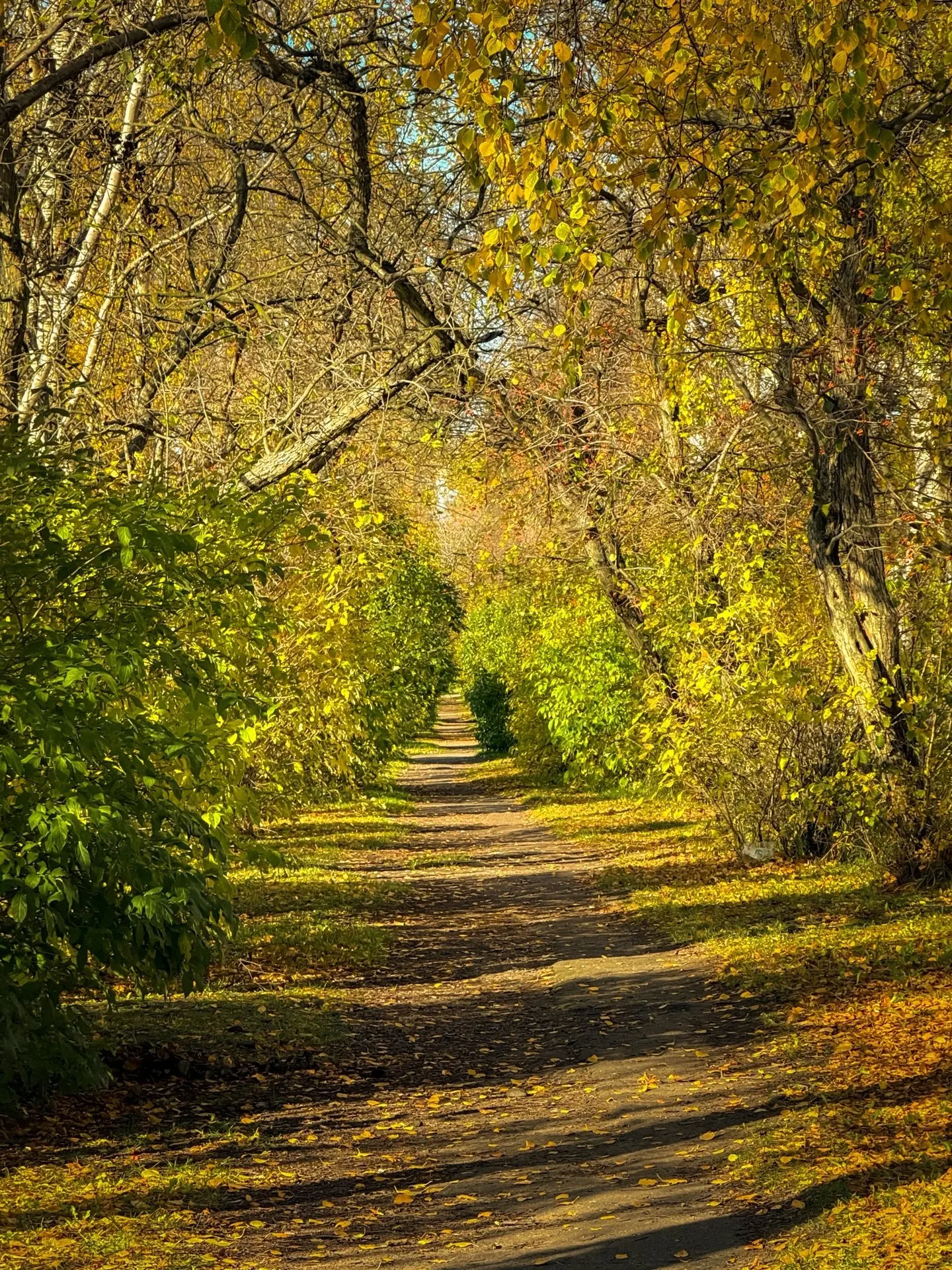 Его величество Октябрь 🍂👑