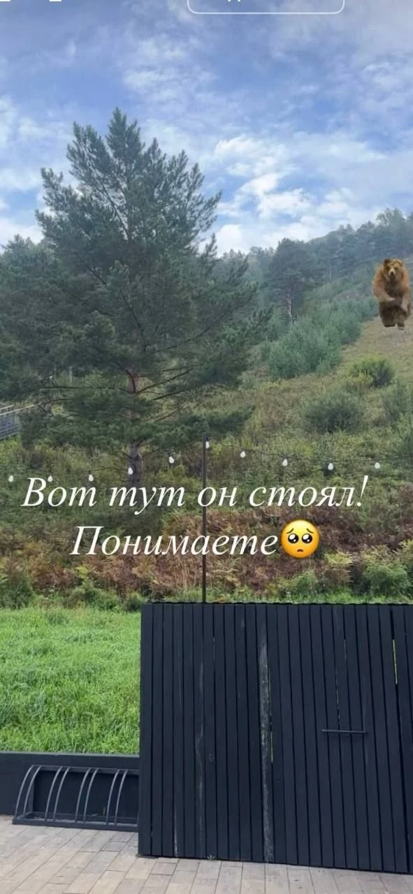 ❗У Торгашинского хребта опять медведь