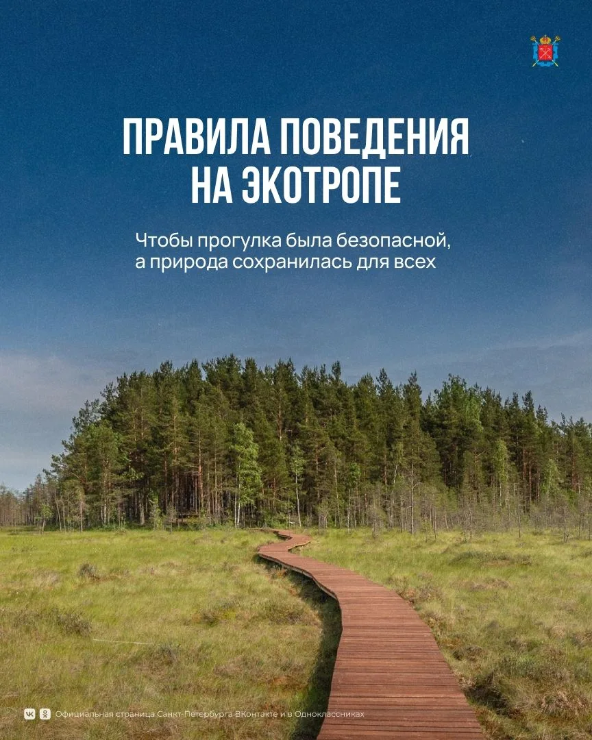 Летом экотропы становятся одним из самых популярных мест для прогулок.
Они проходят по особо охраняе