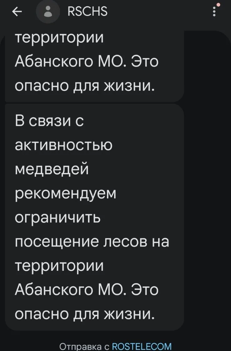 Прогулки по лесу отменяются.
